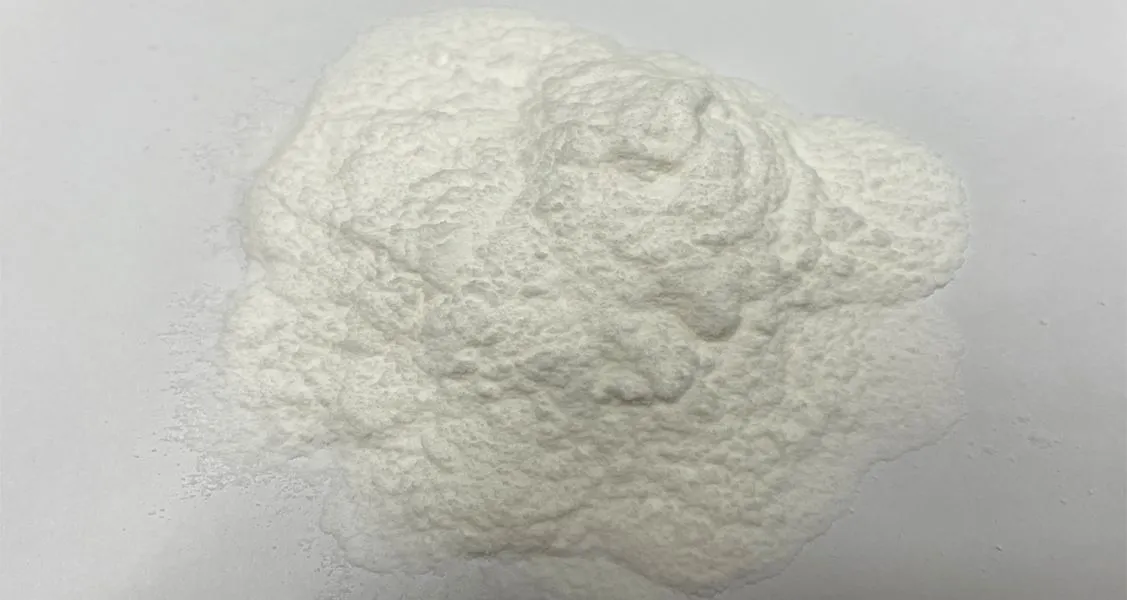 Stevia leaf extract powder put on the paper by Botanical Cube Inc.