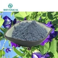 Npauj Npaim Hiav Txwv Txee