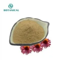 Echinacea extract hmoov