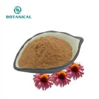Echinacea purpurea extract hmoov