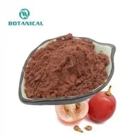 Txiv Hmab Noob Extract