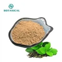 Ntsuab tshuaj yej extract hmoov 98% polyphenol
