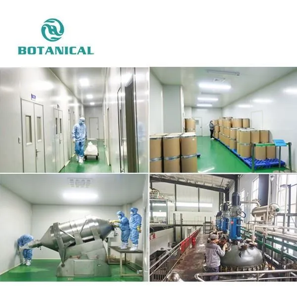 Factory photo by Botanical Cube Inc.