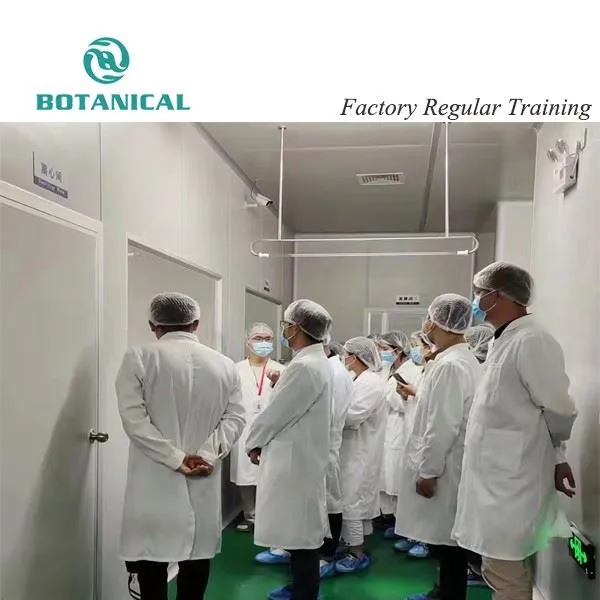 Factory Regular Training by Botanical Cube Inc.