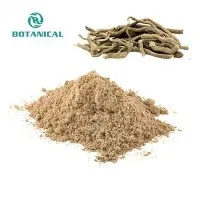 Kava hauv paus extract