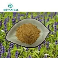 Turkesterone Ajuga Turkestanica Hmoov