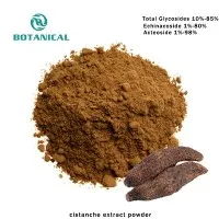 Cistanche extract hmoov