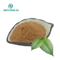 Eucommia Ulmoides ntawm nplooj ntawv Extract