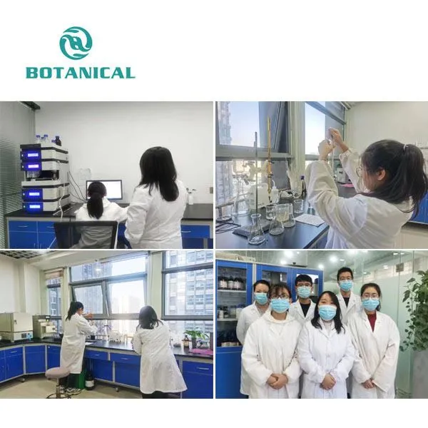 Sodium Hyaluronate Powder