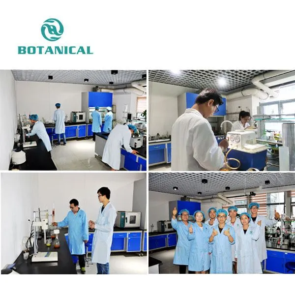 Yucca Extract Powder