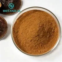 Reishi Mus Ncua Ncauj Dej Hmoov